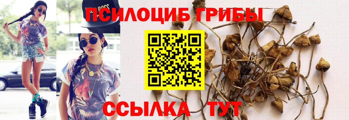 Россия  Галлюциногенные грибы мухоморы  Вход с VPN  Псилоцибиновые грибы Psilocybine cubensis 